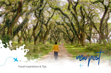 Banyuwangi-Exploration-Tour-Package