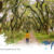 Banyuwangi-Exploration-Tour-Package