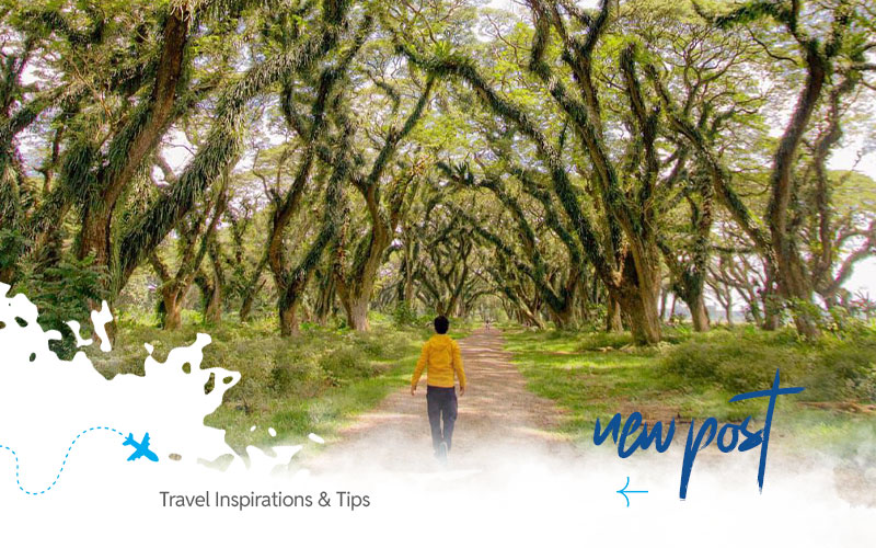 Banyuwangi-Exploration-Tour-Package
